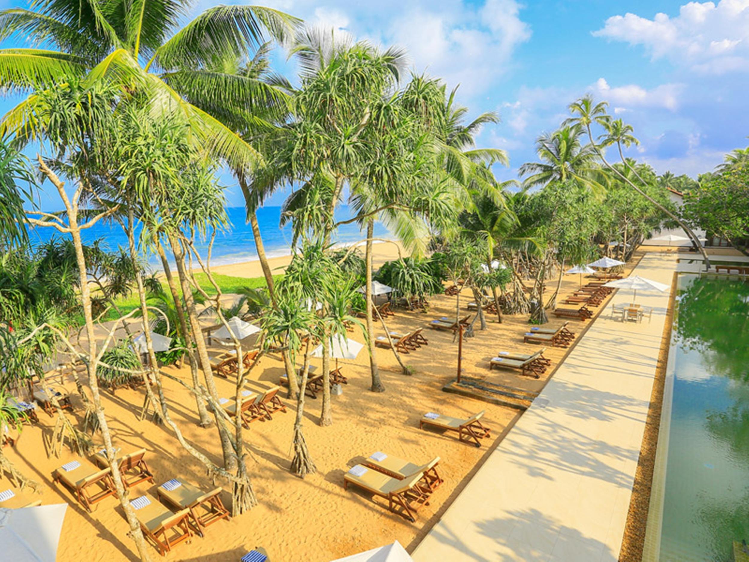 Pandanus & Hotel Bentota