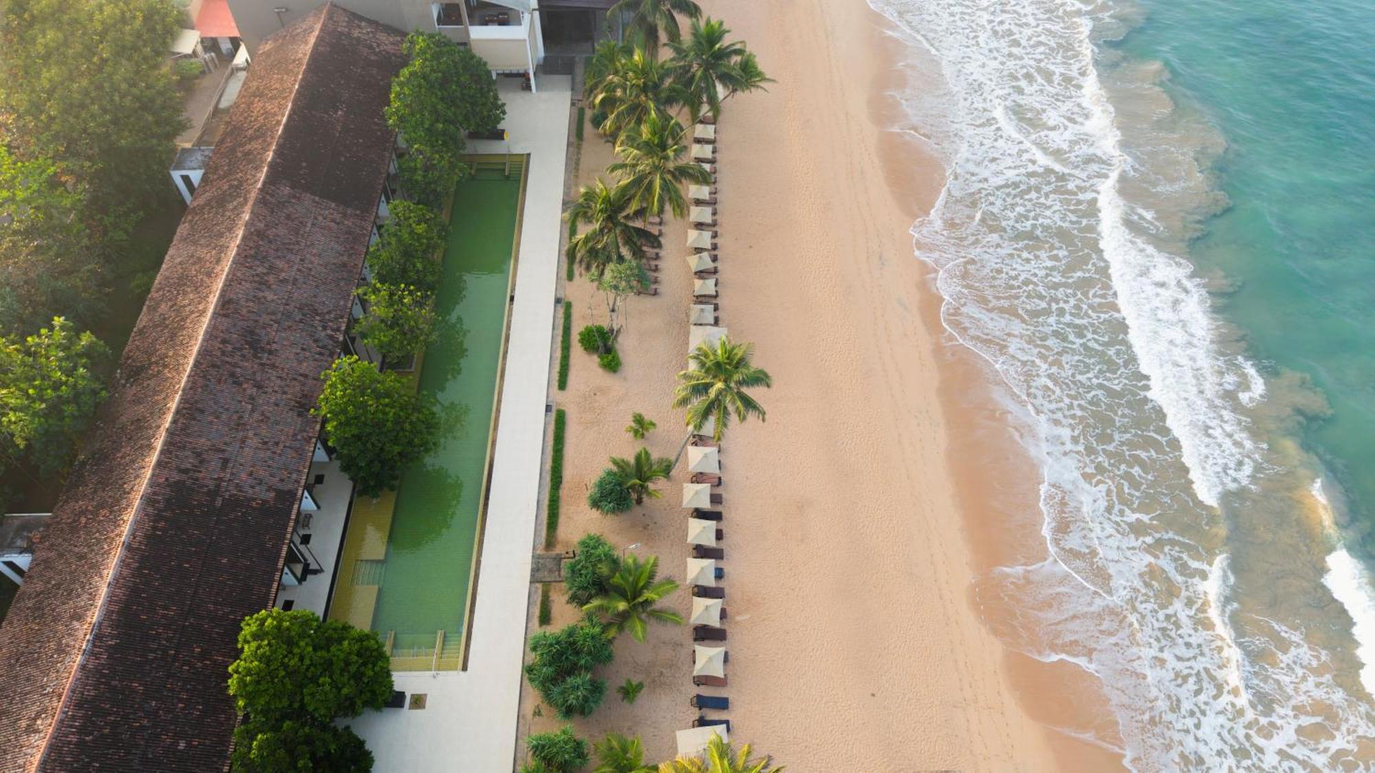 Pandanus & Hotel