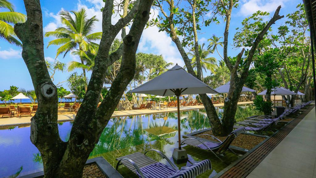Pandanus &