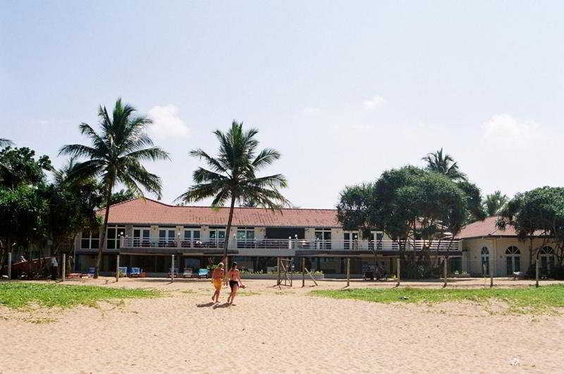 Pandanus &