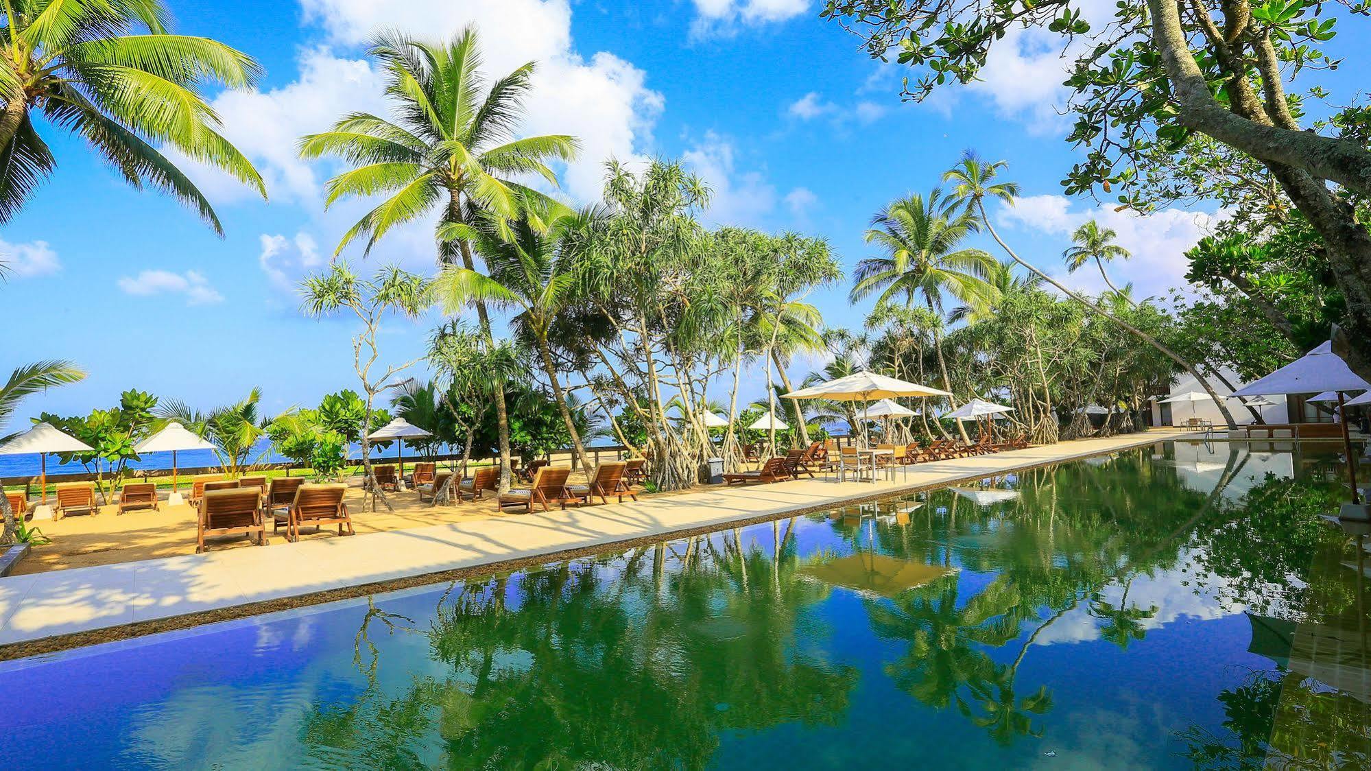 Pandanus &
